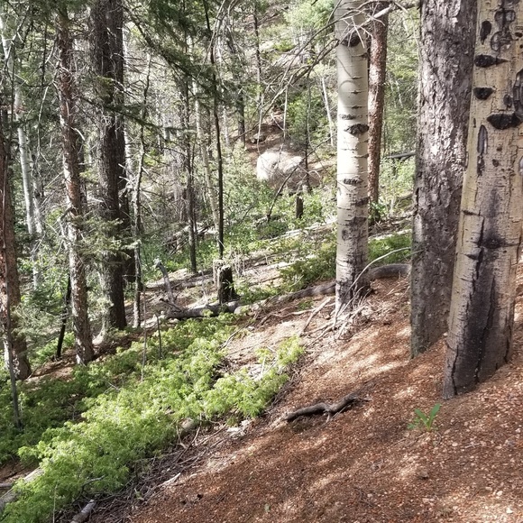 Meet your Posher, Luz - Picture 1 of 1